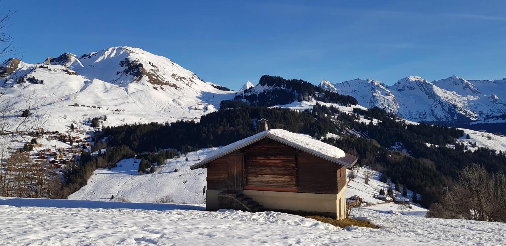 Appartement Cosy Face Aux Aravis Ле-Гран-Борнан Екстер'єр фото